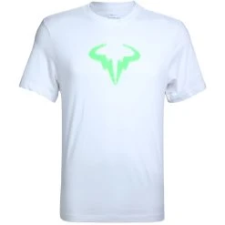 Nike Men's Dri-Fit Tee DZ2639-100